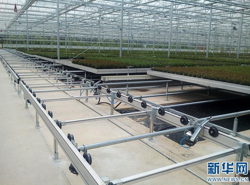 云南省花卉所：圍繞產業需求加快科技轉化