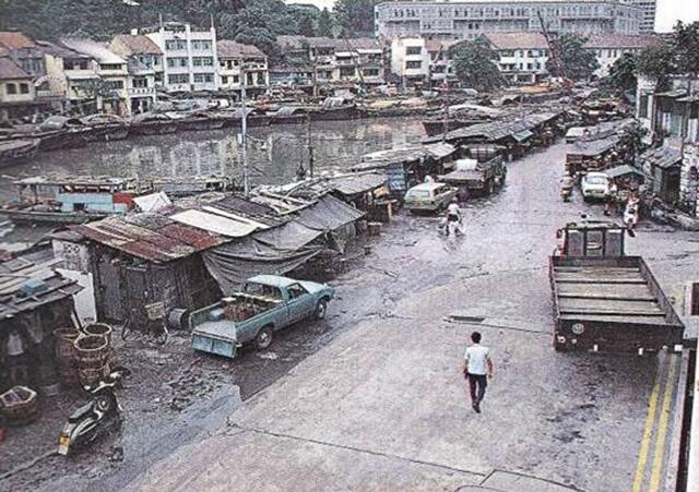 羅華端:可持續(xù)的環(huán)境與花園里的城市