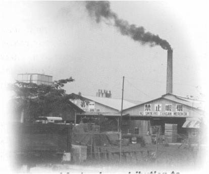 羅華端：可持續的環境與花園里的城市