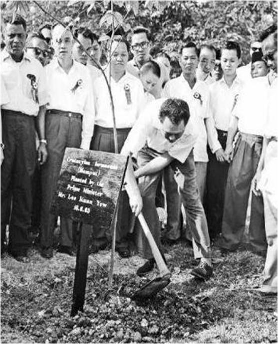 羅華端：可持續的環境與花園里的城市