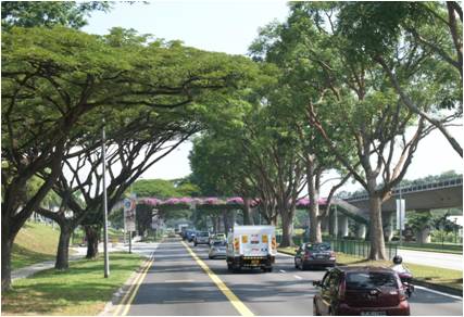 羅華端：可持續的環境與花園里的城市