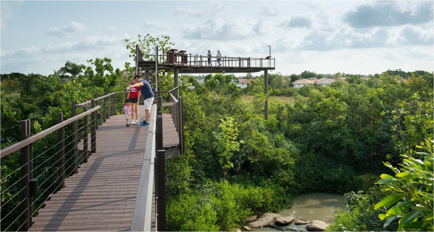 塔瓦才?科博凱奇:生態城市景觀方法
