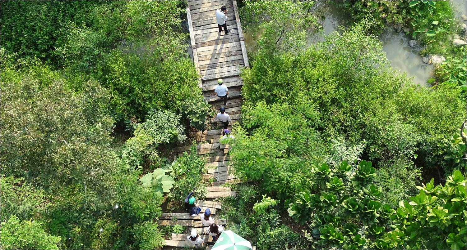 塔瓦才?科博凱奇:生態城市景觀方法