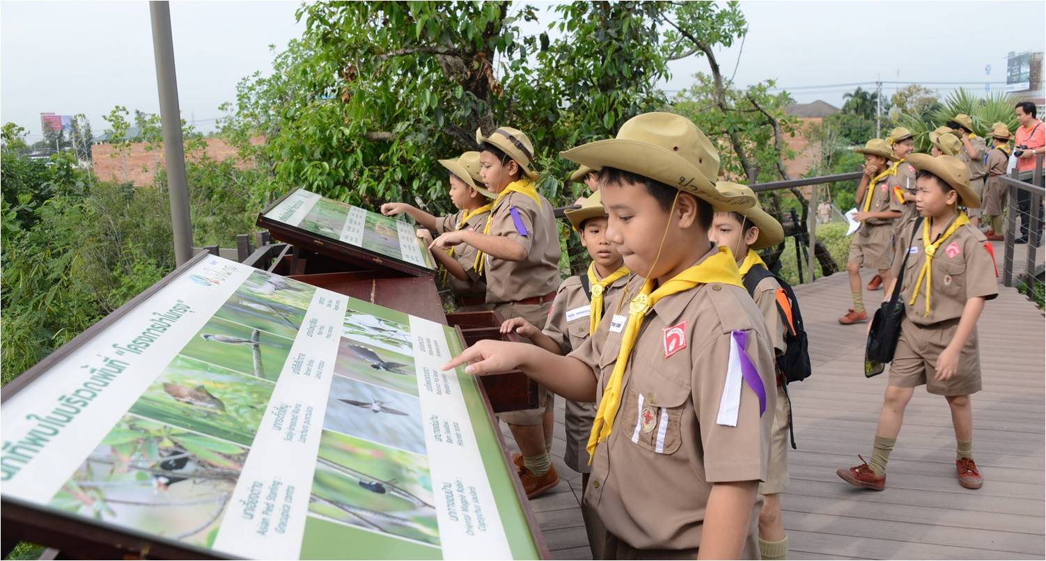 塔瓦才?科博凱奇:生態城市景觀方法