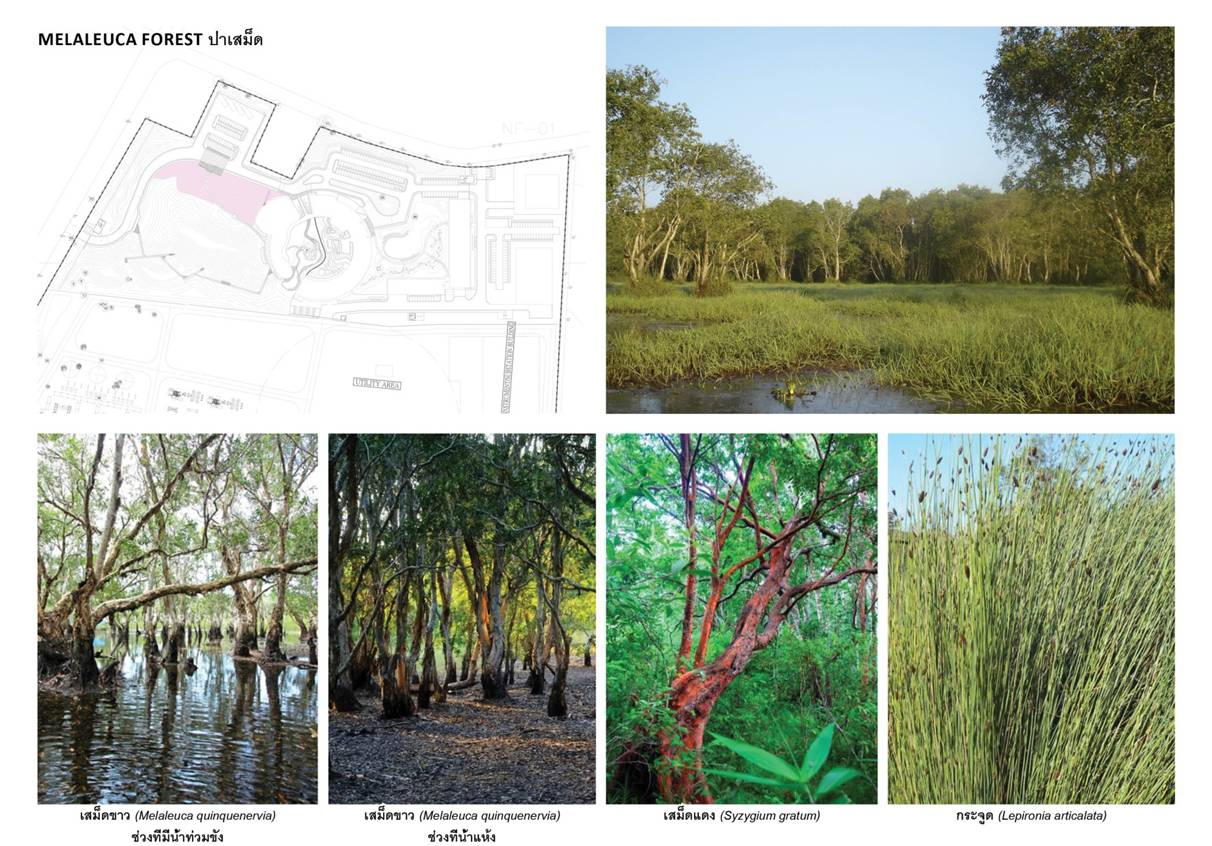 塔瓦才?科博凱奇:生態(tài)城市景觀方法
