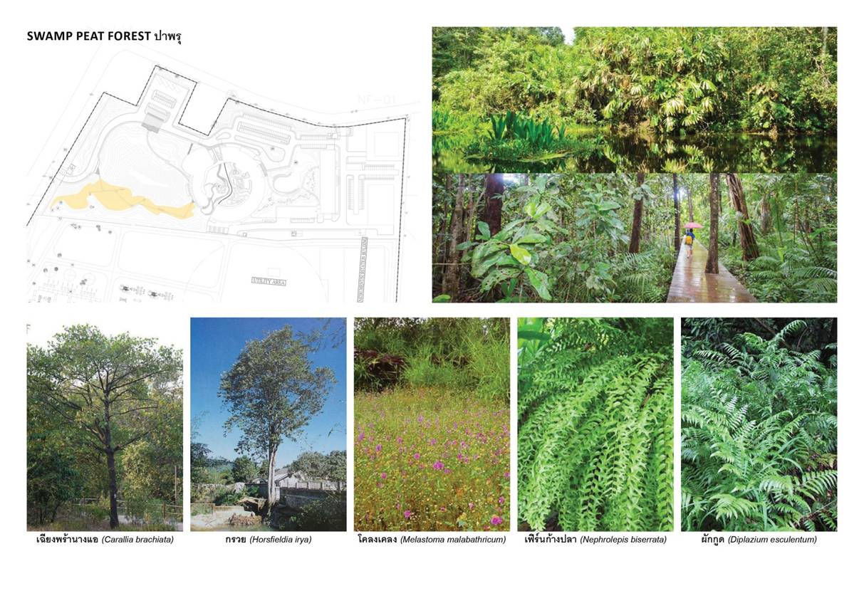 塔瓦才?科博凱奇:生態(tài)城市景觀方法