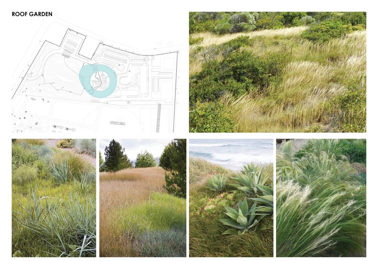 塔瓦才?科博凱奇:生態(tài)城市景觀方法