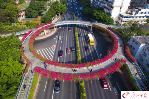 廣州立體綠化經驗:立交橋還可以這么玩