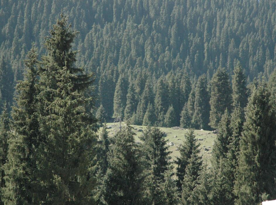 包滿珠:城市建設(shè)與屬地自然生態(tài)系統(tǒng)的保護(hù)