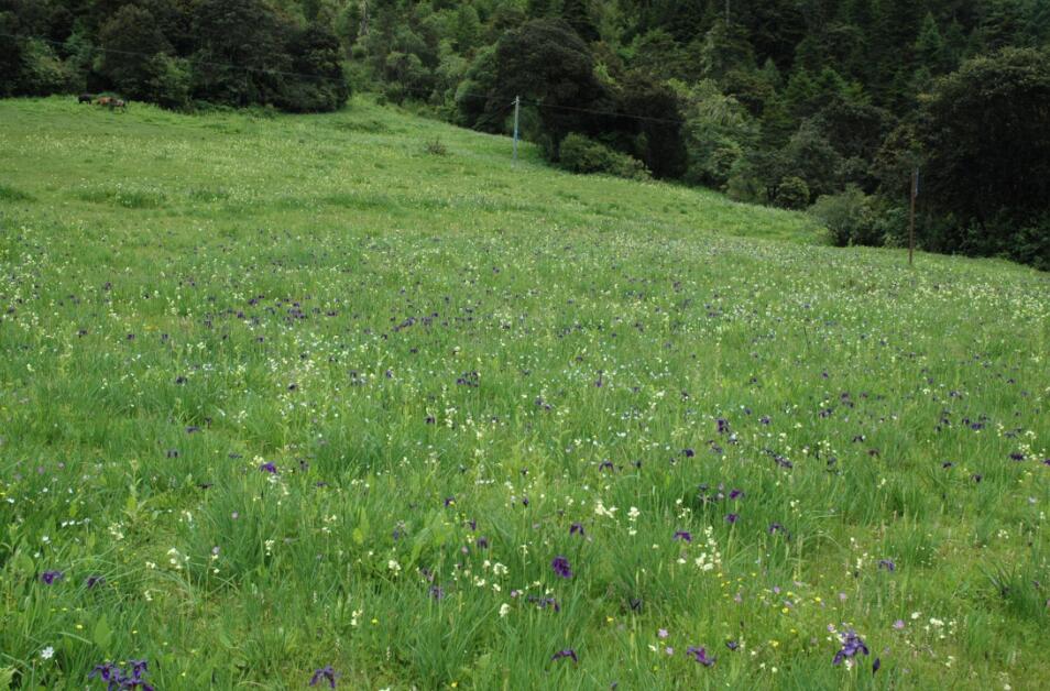 包滿珠:城市建設(shè)與屬地自然生態(tài)系統(tǒng)的保護(hù)