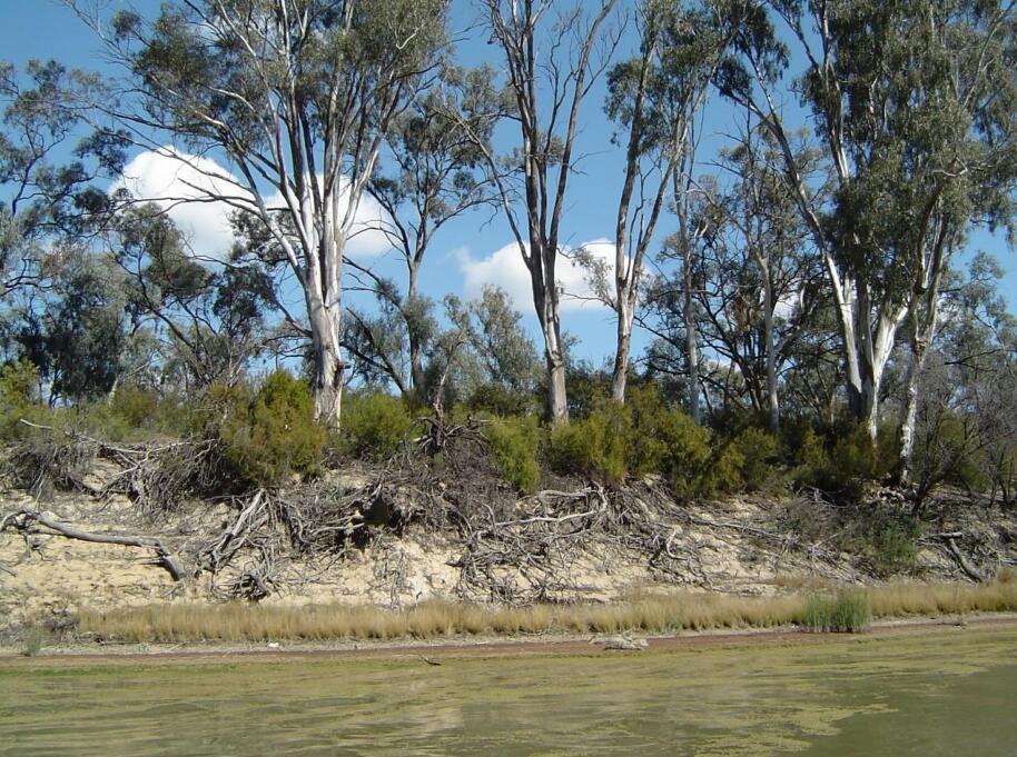 包滿珠：城市建設與屬地自然生態系統的保護