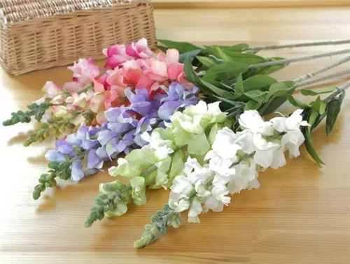 插花花材,你應該這樣挑