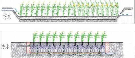 鄧偉:湖城一體化協(xié)調(diào)發(fā)展