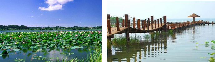 鄧偉:湖城一體化協調發展