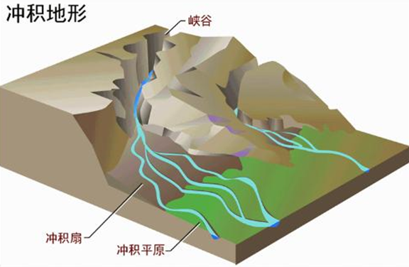 鄧曉梅:衡水湖——如何譜寫人與濕地的新篇章