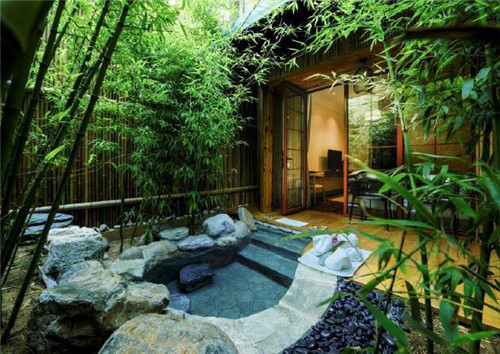 北京五環內竟然有座“城市森林”？