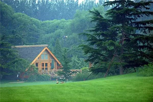 北京五環內竟然有座“城市森林”？