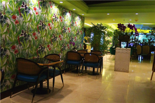 北京五環內竟然有座“城市森林”?