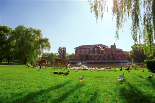 北京五環內竟然有座“城市森林”?