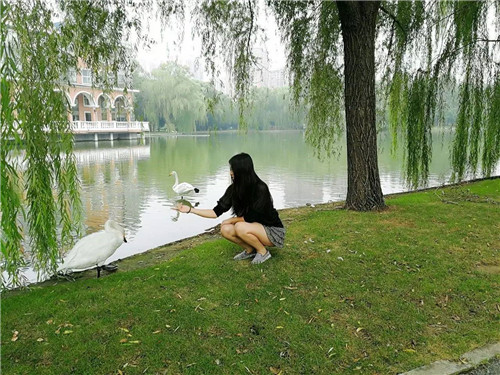 北京五環內竟然有座“城市森林”?