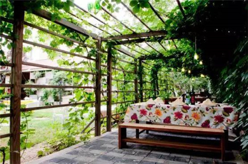 北京五環內竟然有座“城市森林”?