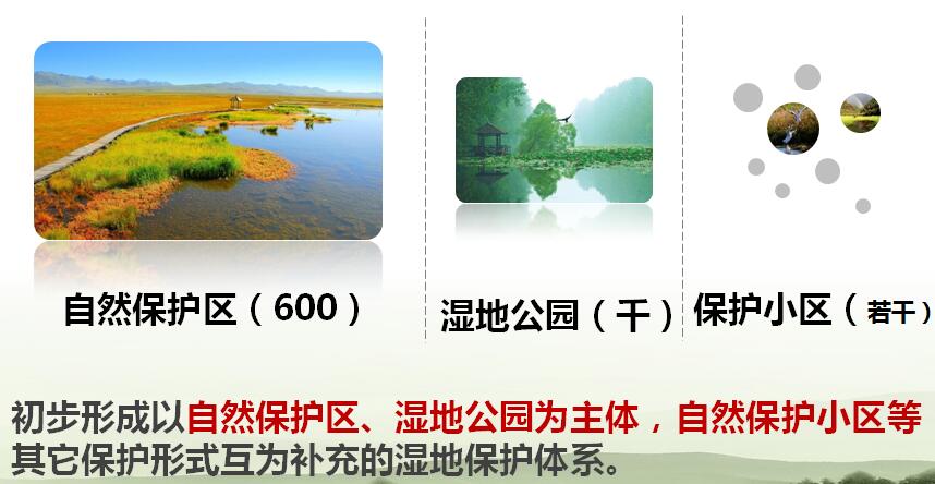 陳克林：爭創天藍、地綠、水凈國際濕地城市