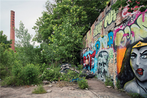 工業(yè)遺址改造：美國帕特森大瀑布森林公園