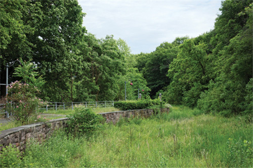 工業(yè)遺址改造:美國(guó)帕特森大瀑布森林公園
