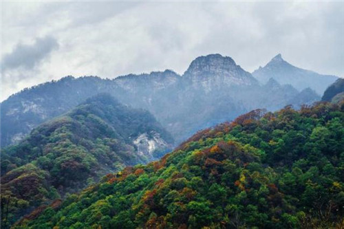 秦嶺深處的國家級植物園