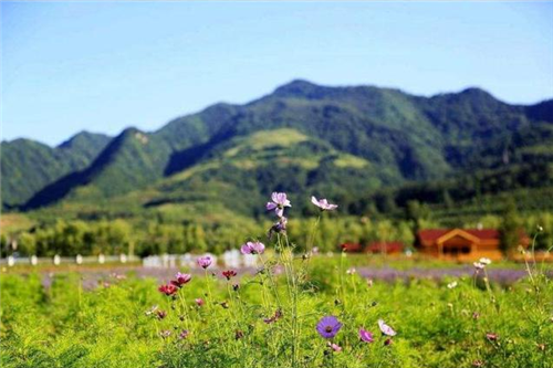 秦嶺深處的國家級植物園