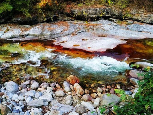 秦嶺深處的國家級植物園