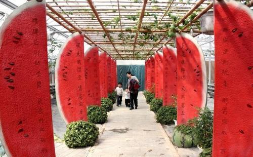 怎樣做好鄉村景區軟裝設計