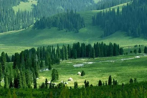 中央財政支持天然林保護和森林生態效益補償