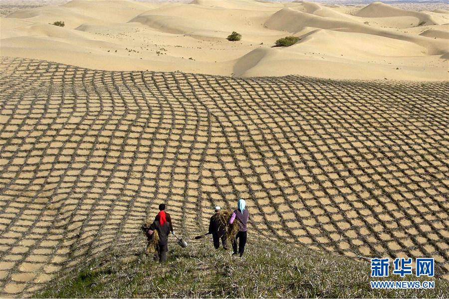 我國多地實行生態修復工程收到成效