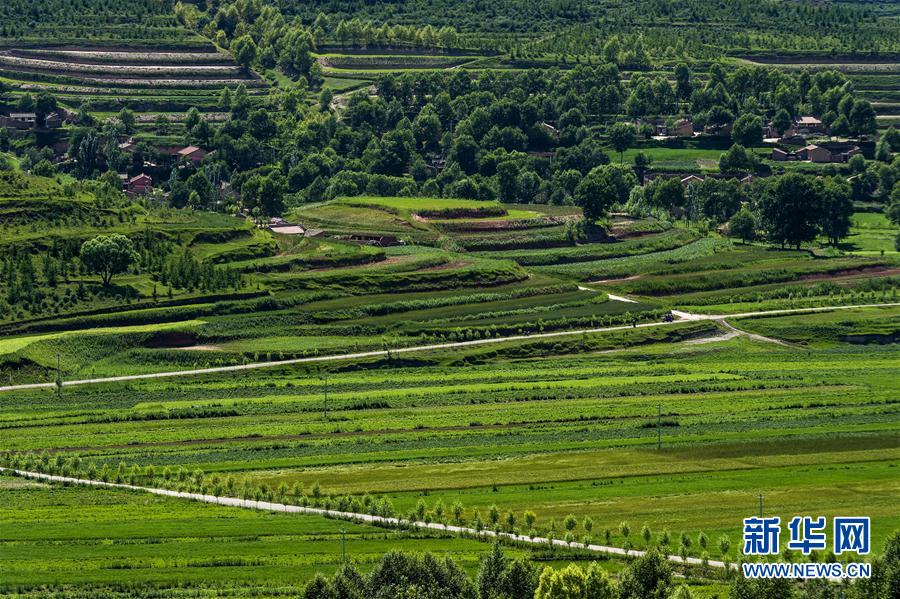 我國多地實行生態修復工程收到成效