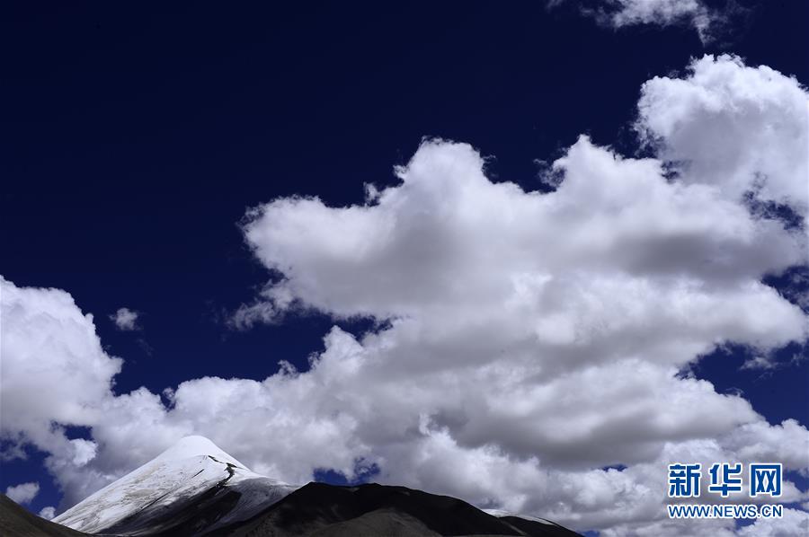 我國多地實行生態修復工程收到成效