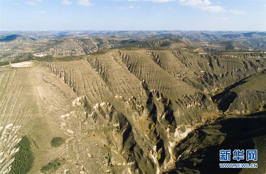 我國多地實行生態修復工程收到成效