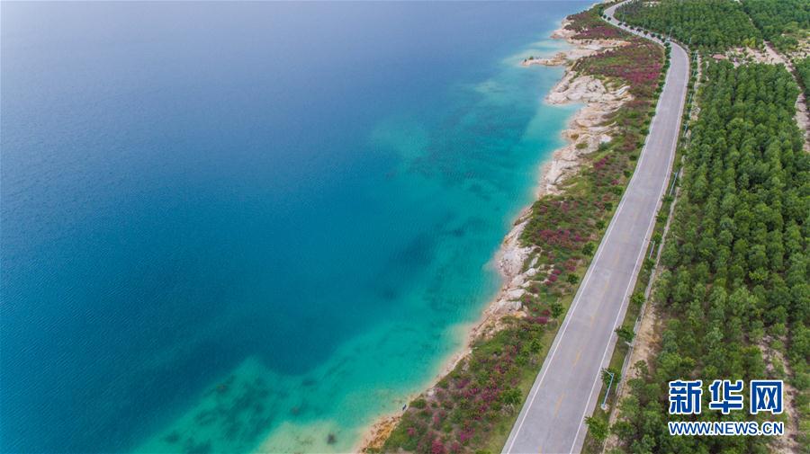 我國多地實行生態修復工程收到成效