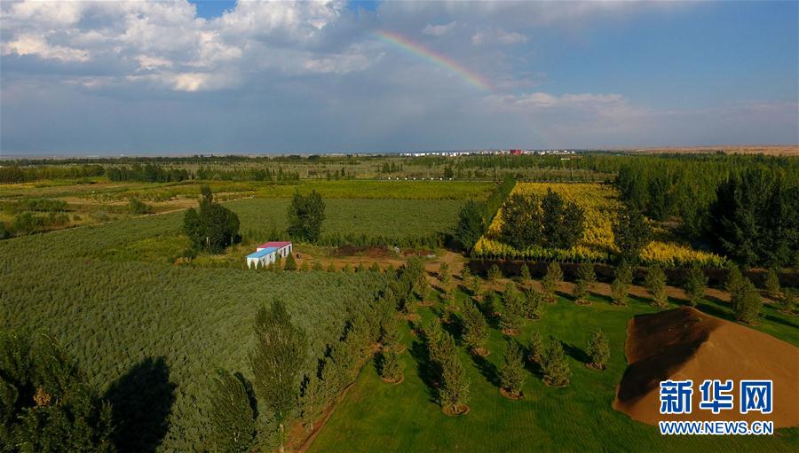 我國多地實行生態修復工程收到成效