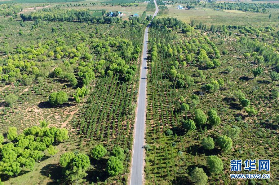 我國多地實行生態修復工程收到成效