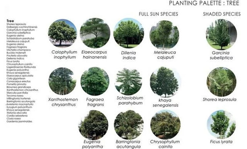 新加坡震撼人心的商業綜合體