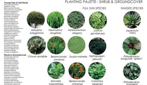 新加坡震撼人心的商業綜合體