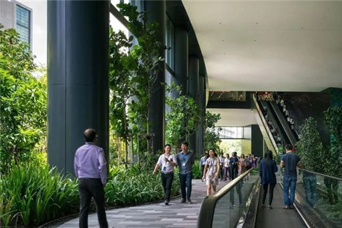 新加坡震撼人心的商業綜合體