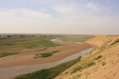 德地理學家：治理沙漠應在當地種原生植物