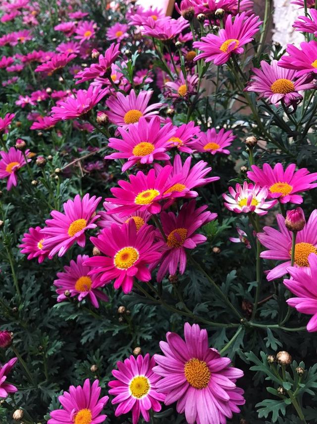 旅游攻略之麗江：束河古鎮