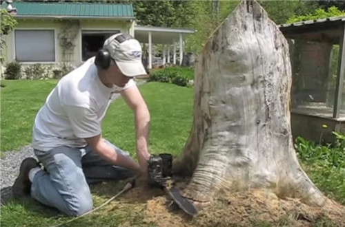 男子將爛樹樁改造成了小鎮景點