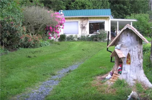 男子將爛樹樁改造成了小鎮景點