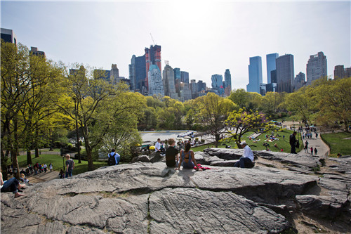 花園設計和景觀設計:解決認識危機