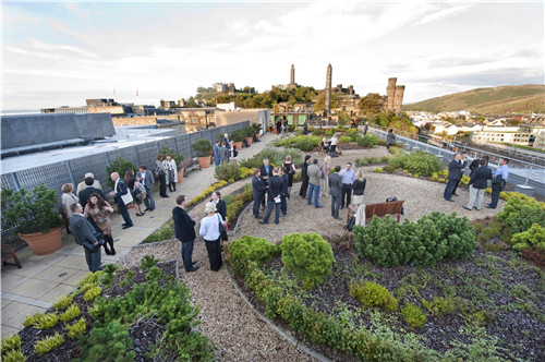 花園設計和景觀設計:解決認識危機