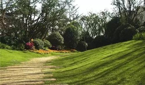 如何管理現場施工保證景觀設計效果成功落地